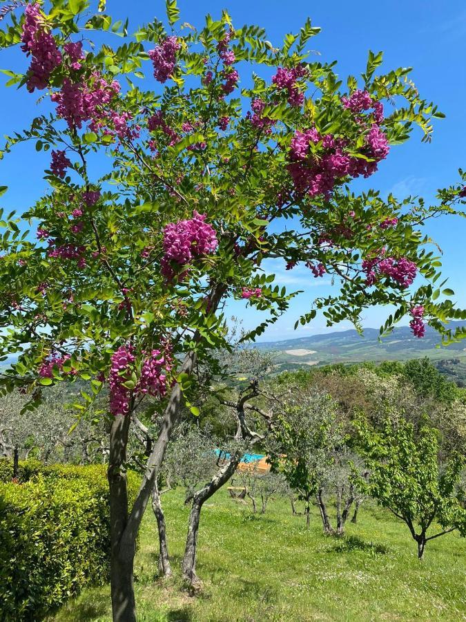 Casa Di Coraggio Villa Volterra Kültér fotó
